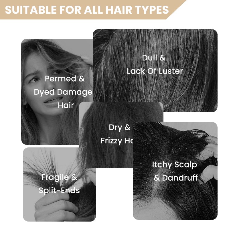 Wholesale price luxury shampoo and conditioner organic oem shampoo hair care set for professional salon