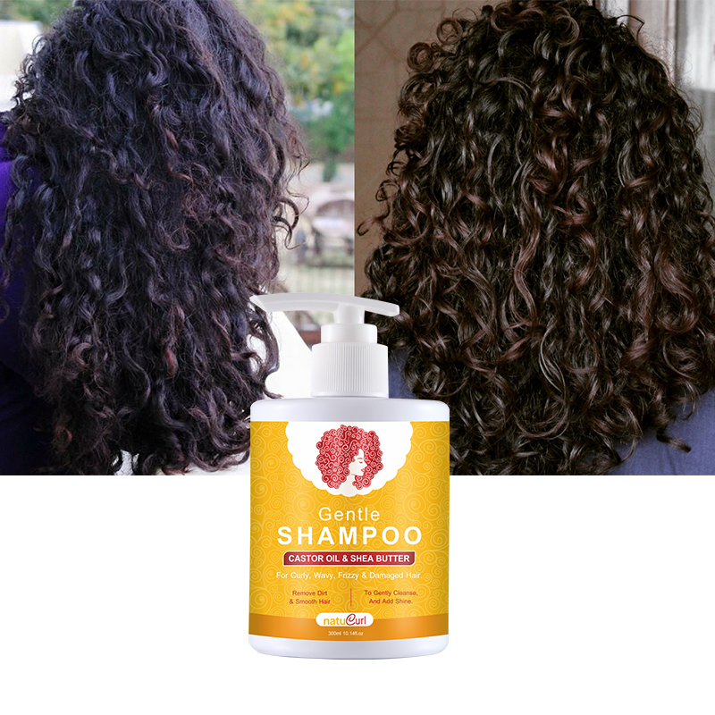 African Natural Best Cosmetic Hair Care Organic Argan Oil Curly Hair Shampoo And Conditioner Set