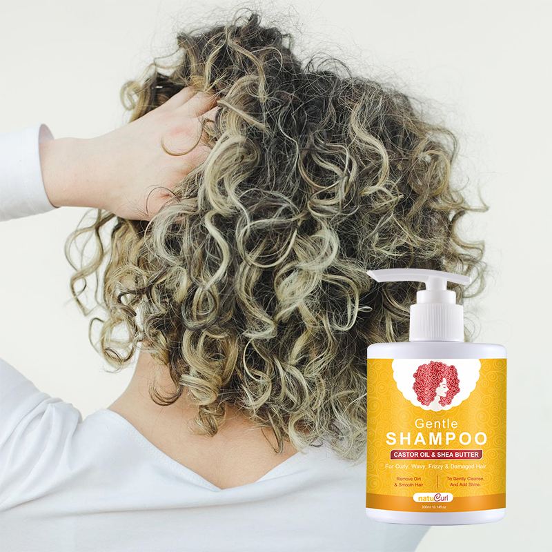 African Natural Best Cosmetic Hair Care Organic Argan Oil Curly Hair Shampoo And Conditioner Set