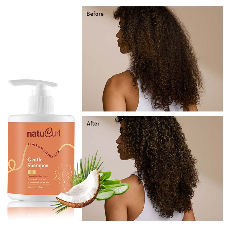 African Natural Best Cosmetic Hair Care Organic Argan Oil Curly Hair Shampoo And Conditioner Set