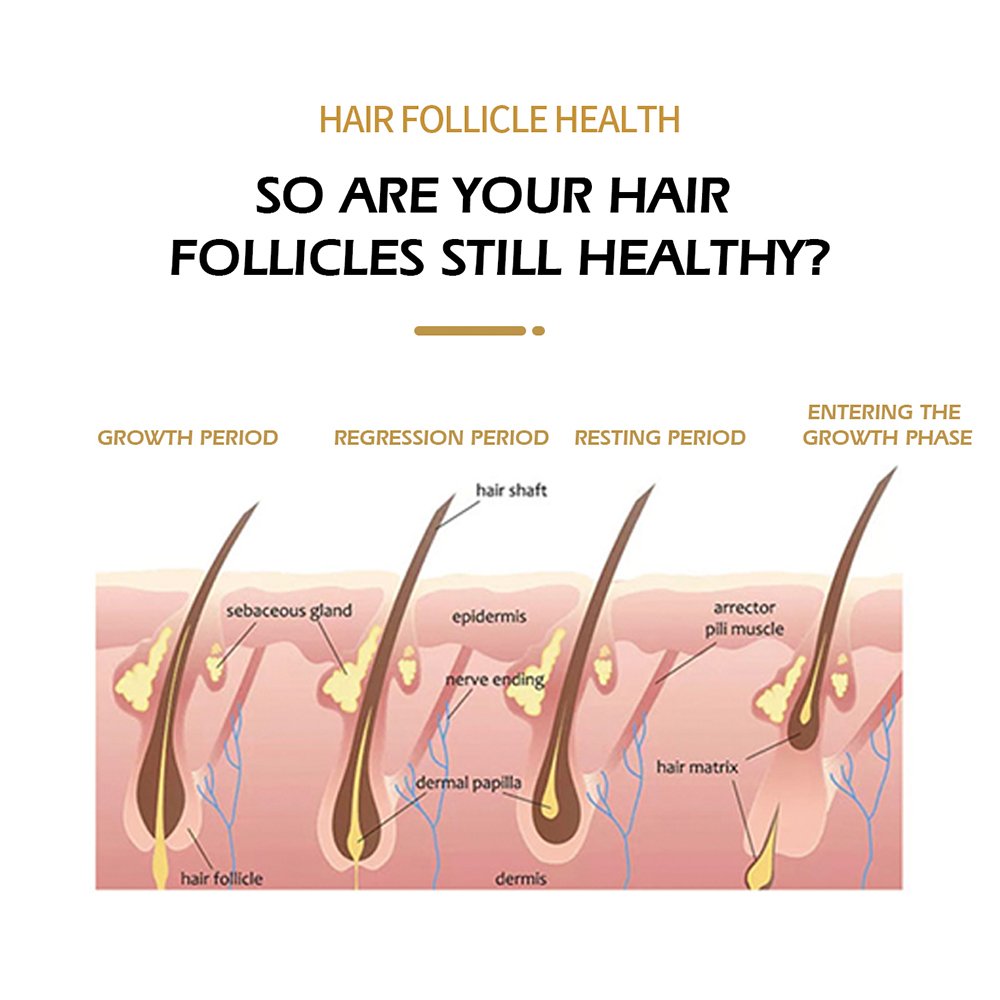 Hair Regrowth Essence Oil Cell Regeneration Lysozyme Hair Growth Oil