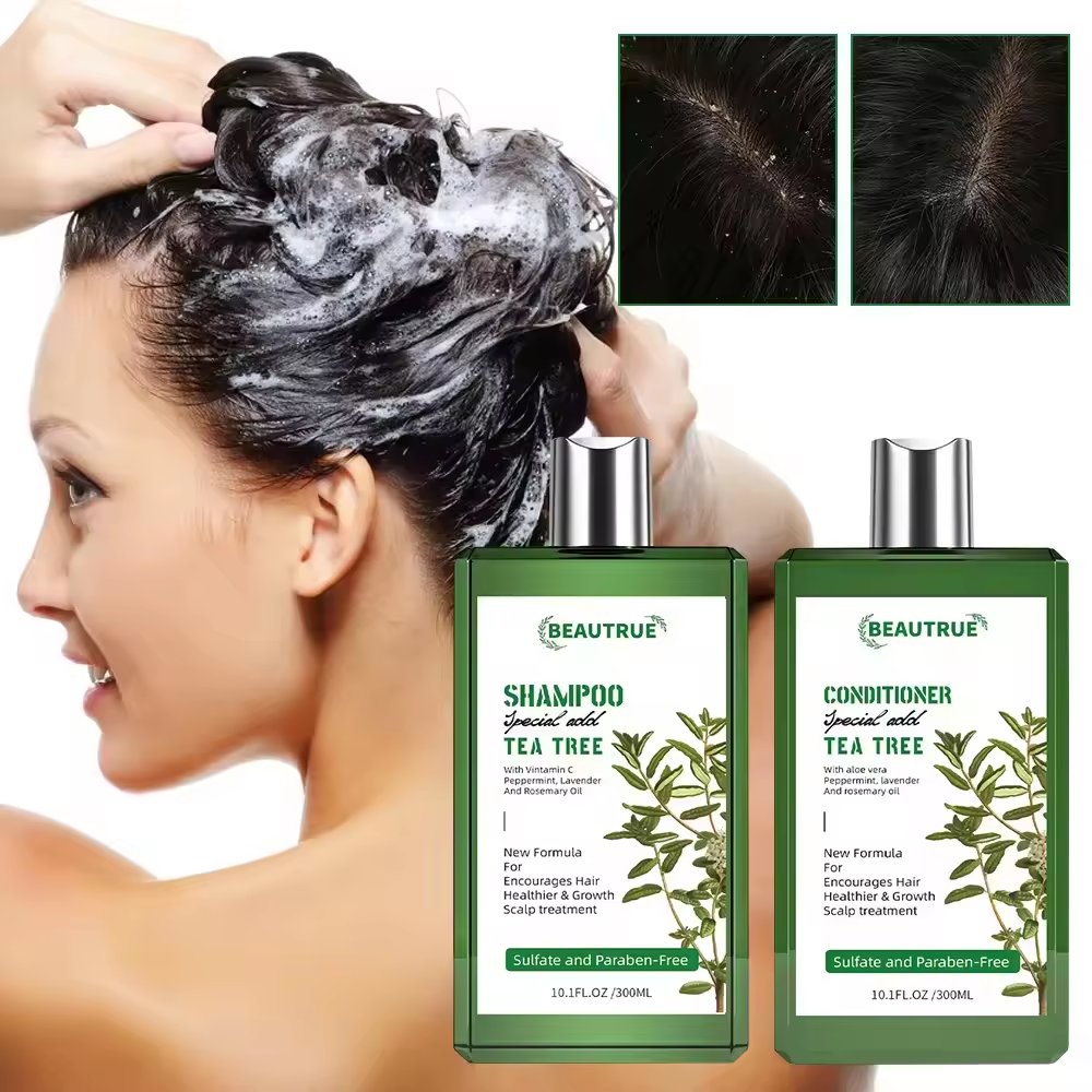 Wholesale natural hair grow shampoo hair loss organic ginger mint tea tree oil shampoo hair growth oil shampoo for men and women