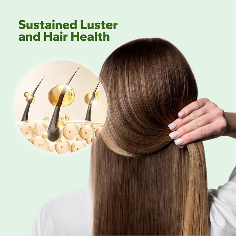 New Fashionable Dense Foam Rinse Away Oily Hair Supple and Radiant Shampoo Genuine and Authentic