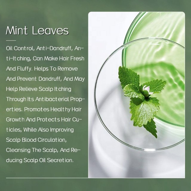 Plant Extract Herbal Hair Shampoo For Itchy Dry Scalp Anti-Dandruff Shampoo Reduces Itching, Redness And Irritation