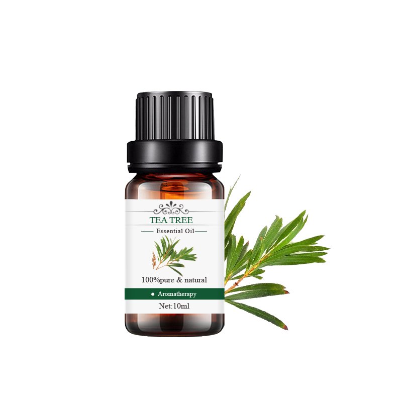 bulk 100% pure essential oil set shampoo Melaleuca tea tree oil soap tea tree essential oil