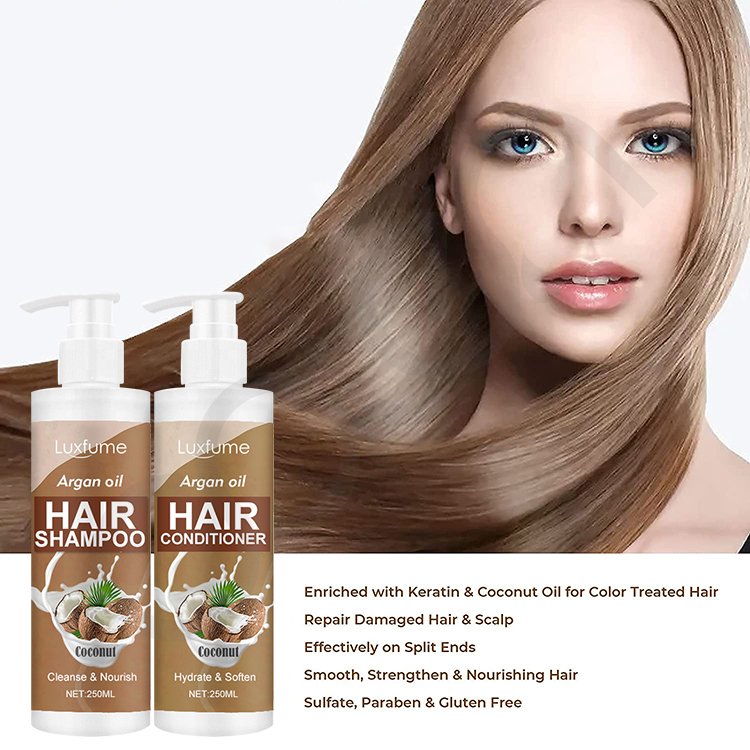 Oalen Private Label Hair Care Reduce Frizz Repair Damage Hair Argan Oil Shampoo And Conditioner Set