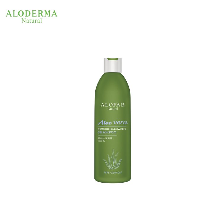Private Label Organic Aloe Vera Damage Repairing Anti-Dandruff Color Protecting Human Hair Shampoo Professional for Thin Hair
