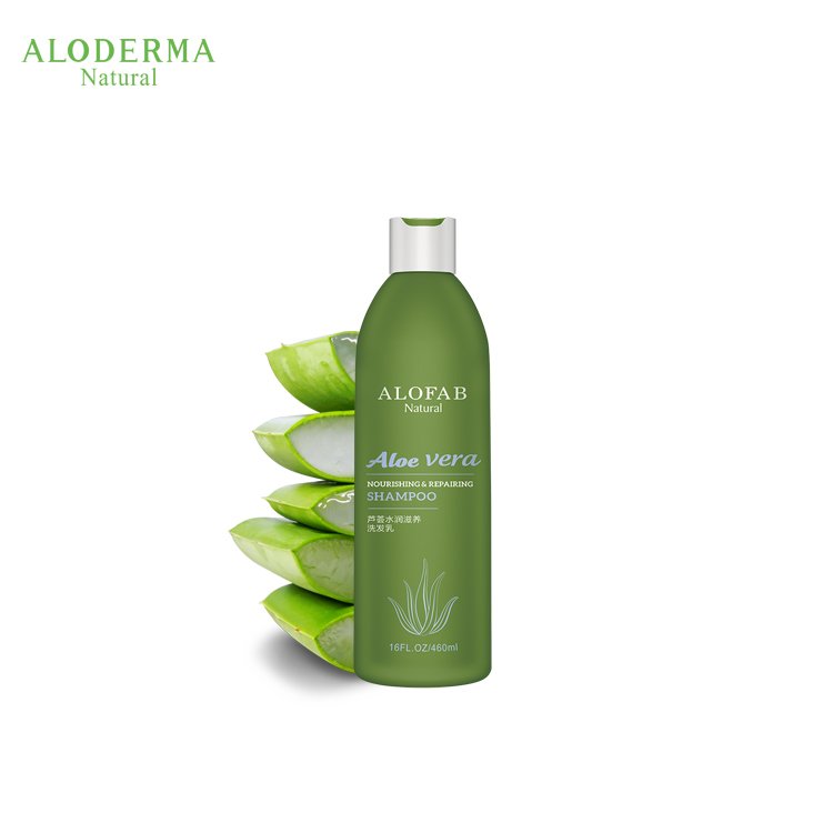 Private Label Organic Aloe Vera Damage Repairing Anti-Dandruff Color Protecting Human Hair Shampoo Professional for Thin Hair