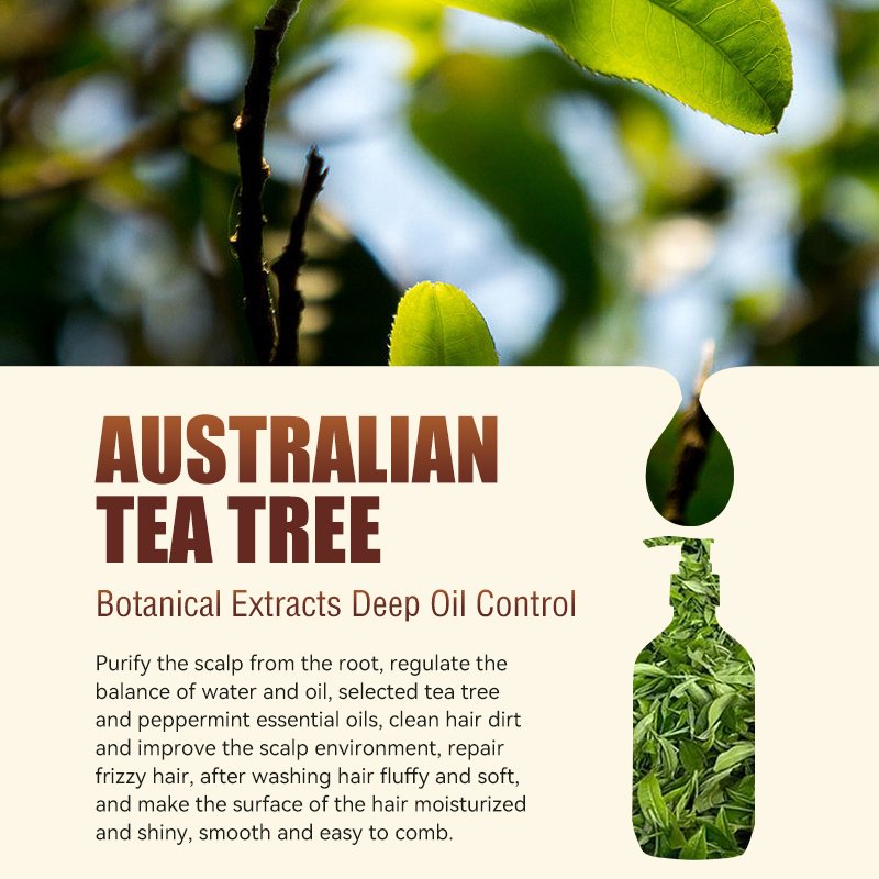 Wholesale Nourish Cleansing Private Label Hair Loss Tea Tree Oil Hair Growth Shampoo