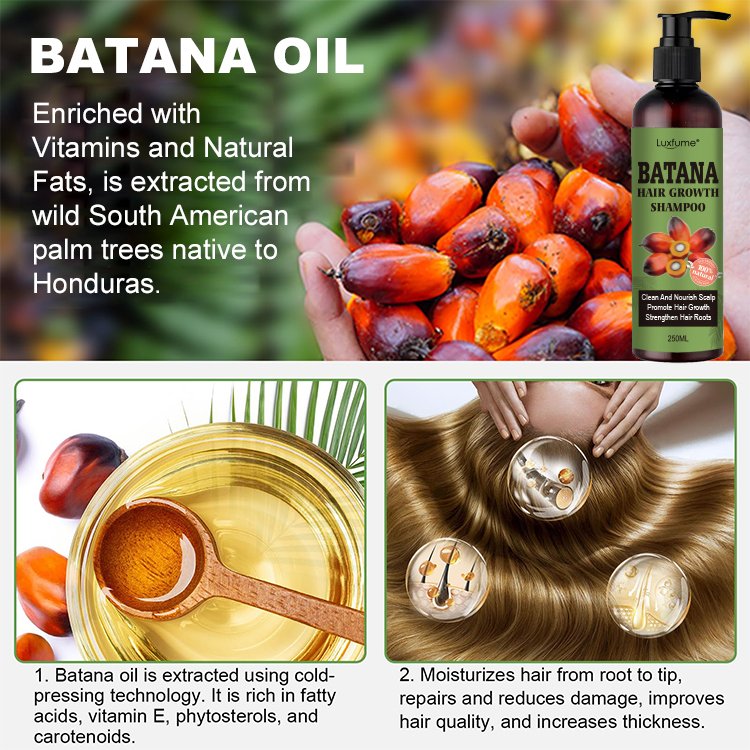 Batana Oil Shampoo Anti Frizz Nourish Anti-Hair Loss Natural Hair Regrowth Shampoo