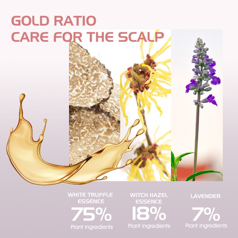 Wholesale Bulk Private Label Good Quality Organic Mild Cleansing Hair Shampoo For Daily Use