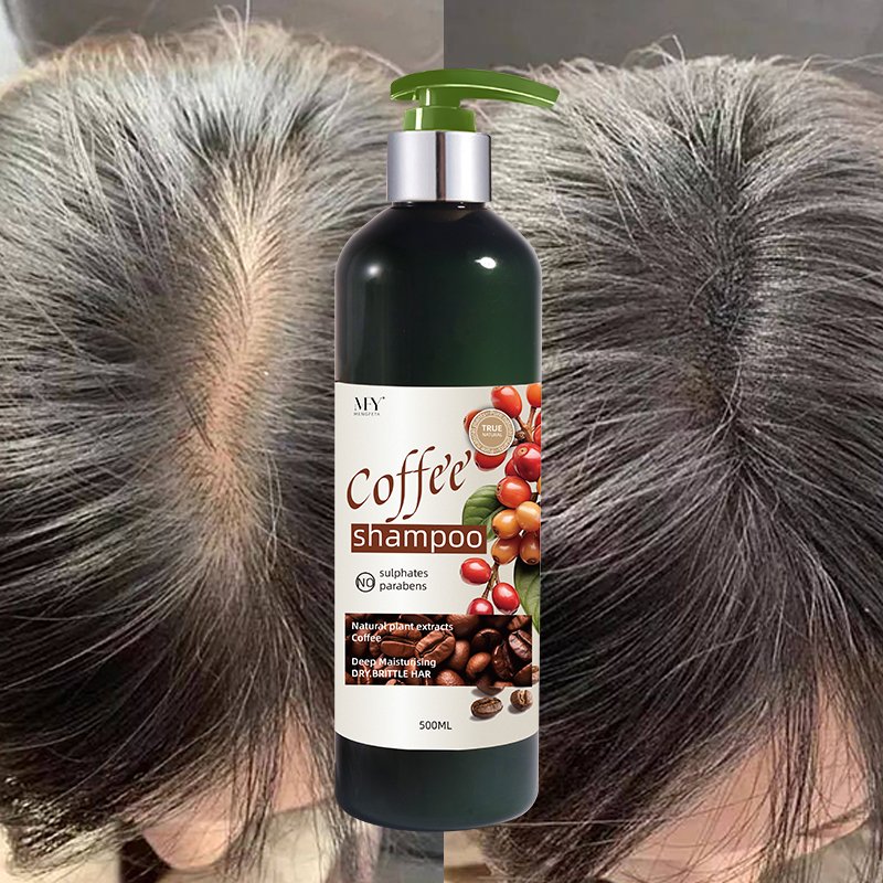 Argan Oil Shampoo Deeply Nourishing, Prevents Dryness, Promotes Hair Growth Shampoo Free of Parabens and Phthalates