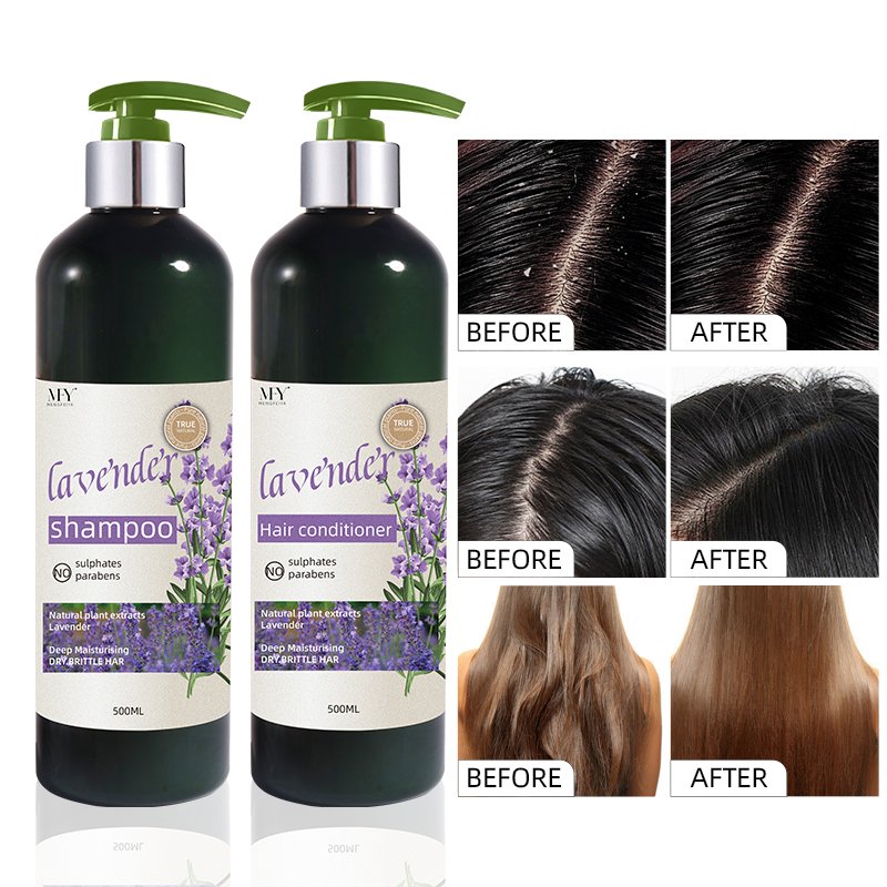 Argan Oil Shampoo Deeply Nourishing, Prevents Dryness, Promotes Hair Growth Shampoo Free of Parabens and Phthalates