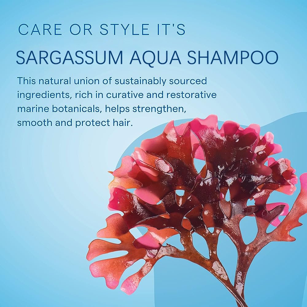 OEM Moisture Nourishing Shampoo 300ML+1000ML Sargassum Plant-derived Ingredients Essential Daily Care