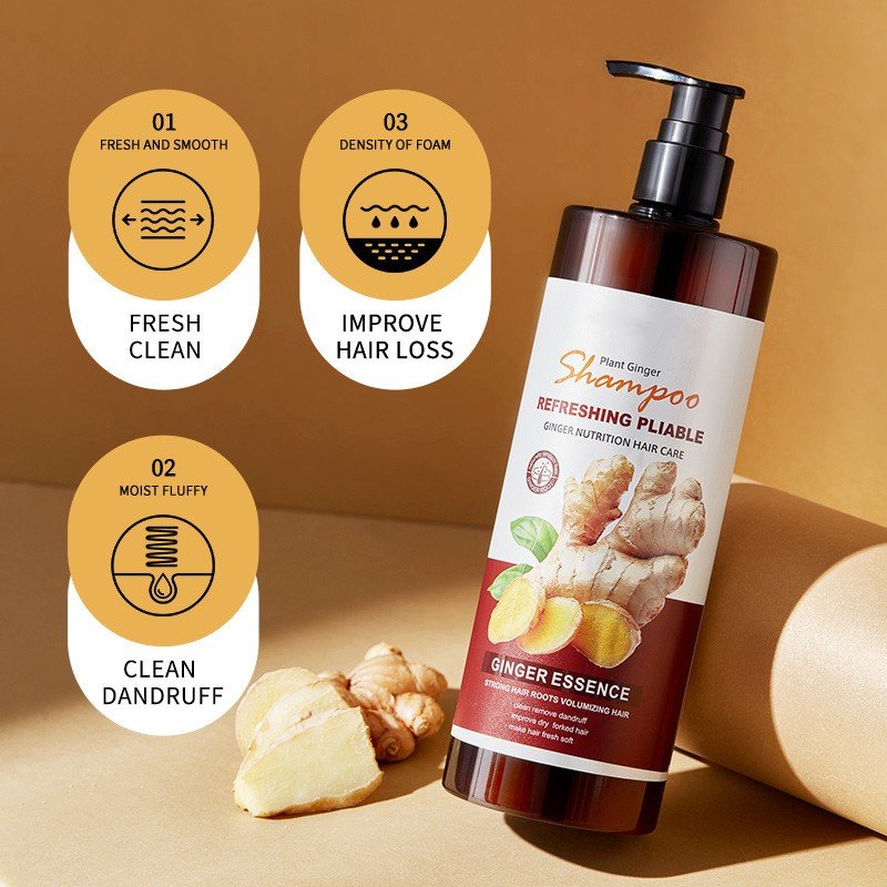 SUCCSION Hair Care Sets Shampoo And Conditioner Anti Hair Loss Hair Growth Shampoo Ginger Anti Dandruff Shampoo
