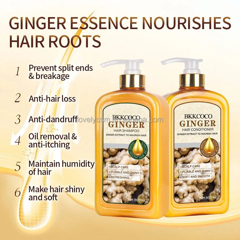 Wholesale OEM pivate label natural organic hair loss ginseng anti dandruff hair growth ginger extract shampoo and conditioner