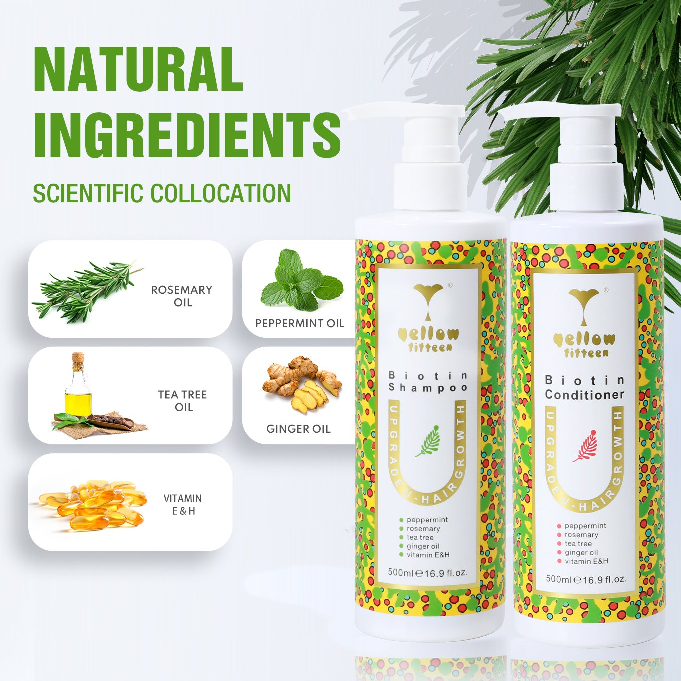 Private Label Organic Biotin Hair Growth Shampoo And Conditioner Set Best Rosemary Oil Shampoo for Hair Growth and Thickening