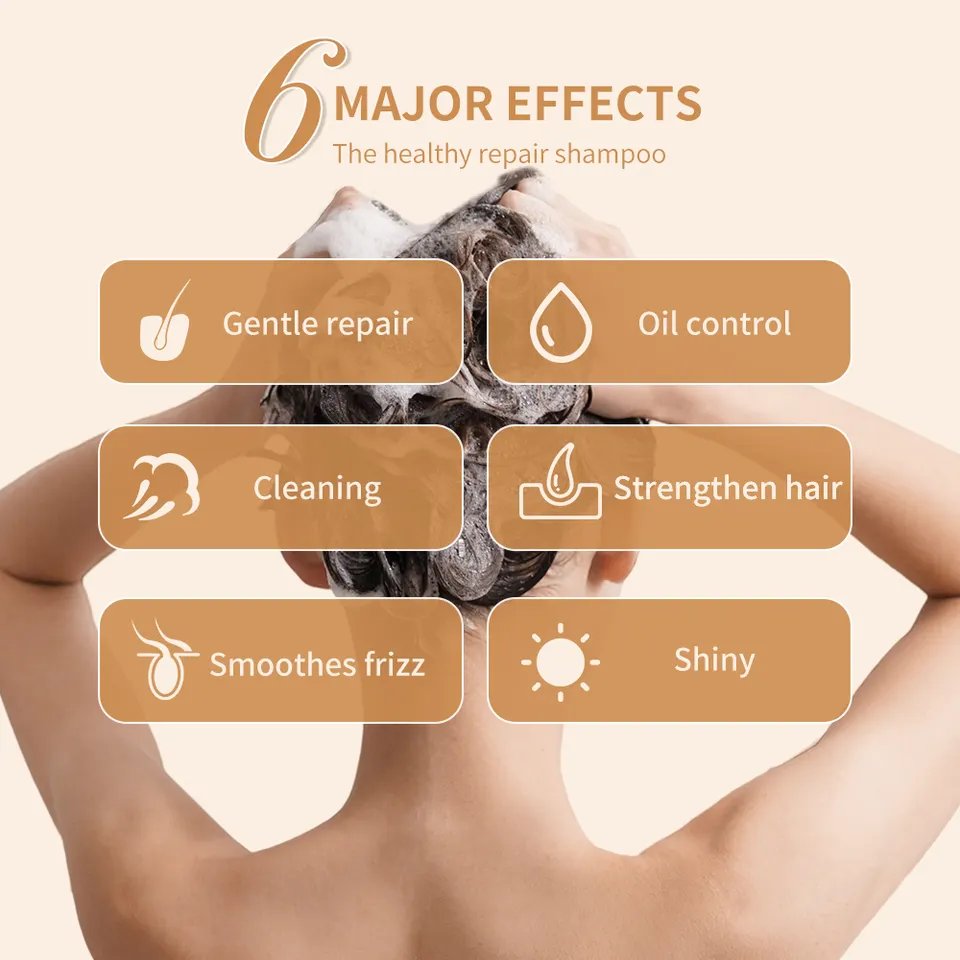 Wholesale Natural Lightness Organic Hair Care Repairing Smoothing Vegan Argan Oil Hair Shampoo and Conditioner
