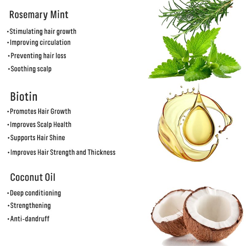 Biotin Hair growth Organic Rosemary Mint sulfate free Shampoo and Conditioner wholesale