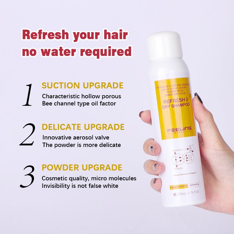 Factory custom Brand Of Hair Oil Control Shampoo Fluffy Organic Argan Oil Hair Spray Dry Shampoo