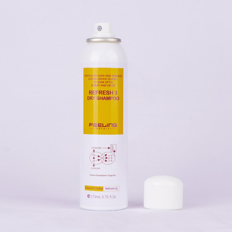 Factory custom Brand Of Hair Oil Control Shampoo Fluffy Organic Argan Oil Hair Spray Dry Shampoo