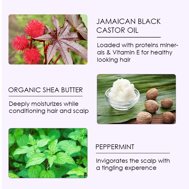 Factory Custom Logo and Packaging Reduces Hair Loss Organic Hair Growth Castor Oil Shampoo for All Hair Types