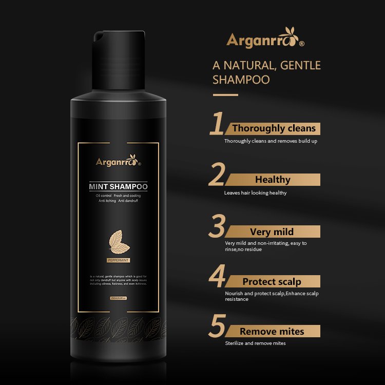 Arganrro 18 Years Factory Extra Strength Refreshing Tea Tree Hair Mint Shampoo And Conditioner Set