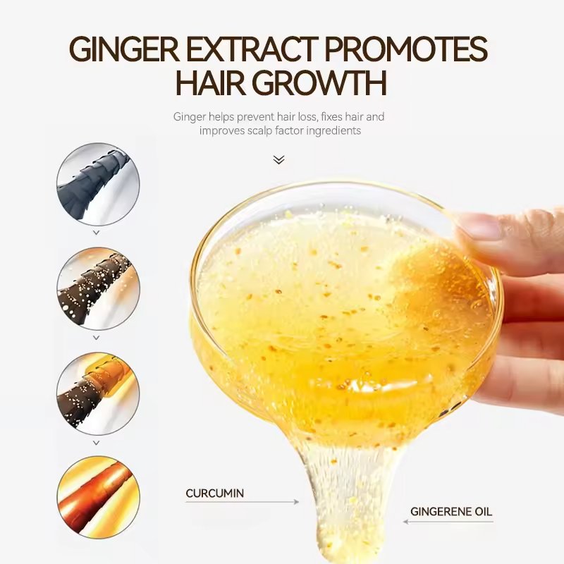Factory Direct Sales Moisturizing Anti Itching Organic Tea Tree Ginger Anti Loss Regrowth Hair Growth Shampoo