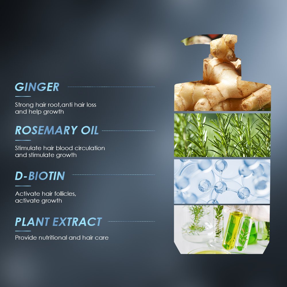 Make own brand natural ginger essence sulfate free anti loss men hair growth shampoo