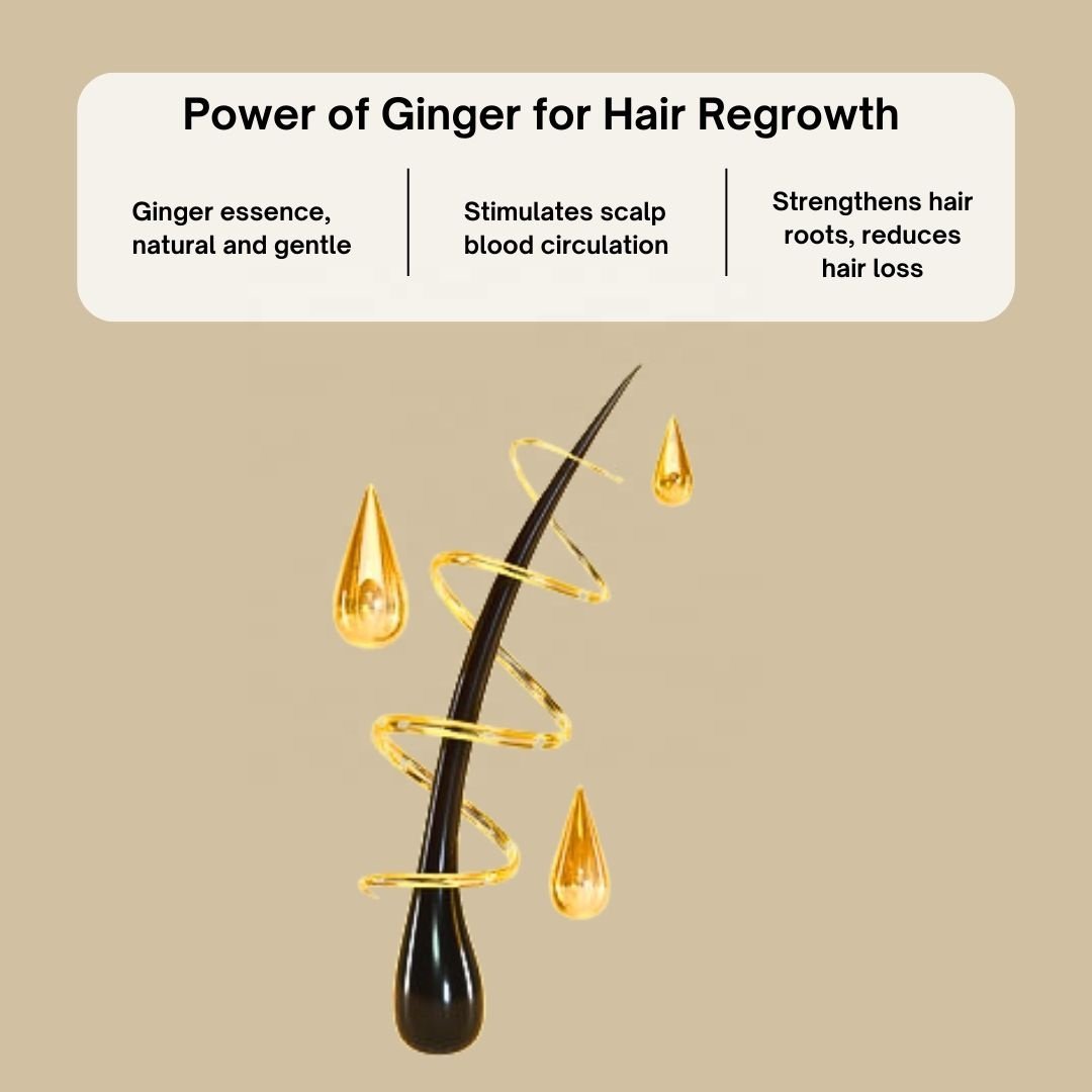 Ginger essence hair shampoo reduced hair loss shampoo