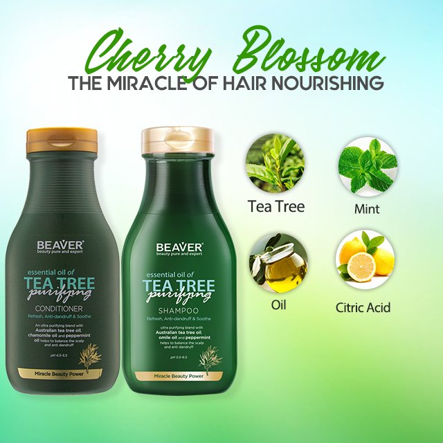 BEAVER Private Label Hair Care Set Pure Organic Tea Tree Oil Natural Herbal Anti Dandruff Shampoo And Conditioner