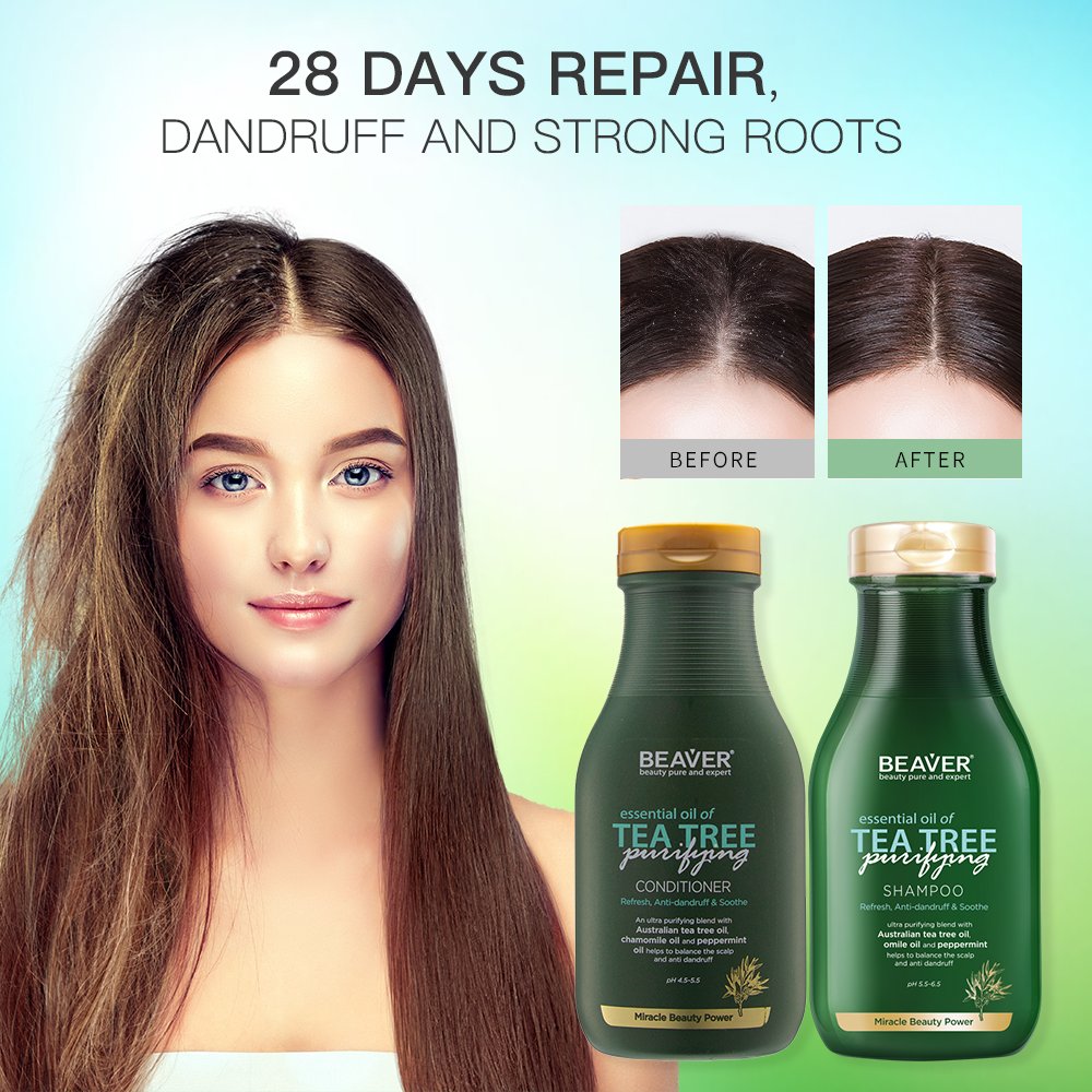 BEAVER Private Label Hair Care Set Pure Organic Tea Tree Oil Natural Herbal Anti Dandruff Shampoo And Conditioner