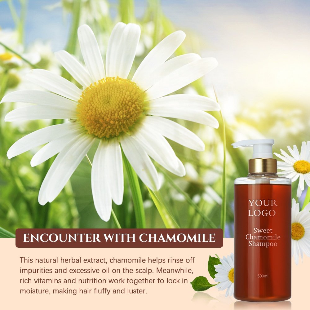 OEM Private Label Hair Products Oil Control Nourish Hair Moisturizing Fluffy Sweet Chamomile Shampoo
