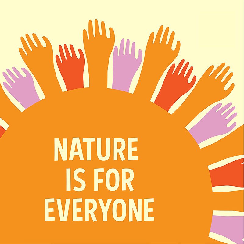Oem Private Label Organic Moisturizing Sulfate Free For Dry Hair Coconut Oil Hair Care Natural Shampoo