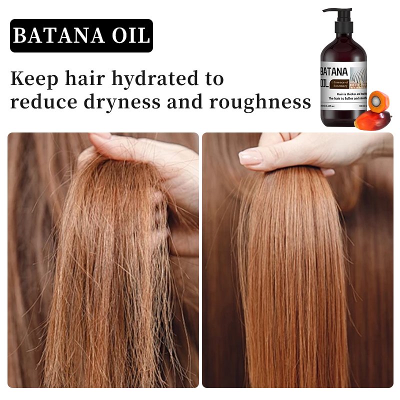 Factory Price Nourish Pure shampoo Anti-hair Loss polygonum multiflorum and angelica root Hair Care