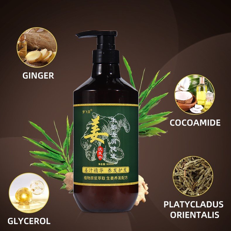 China Factory Distributor Head Lice Coconut Milk Anti Dandruff Anti Hair Loss Shampoo ginger hair shampoo