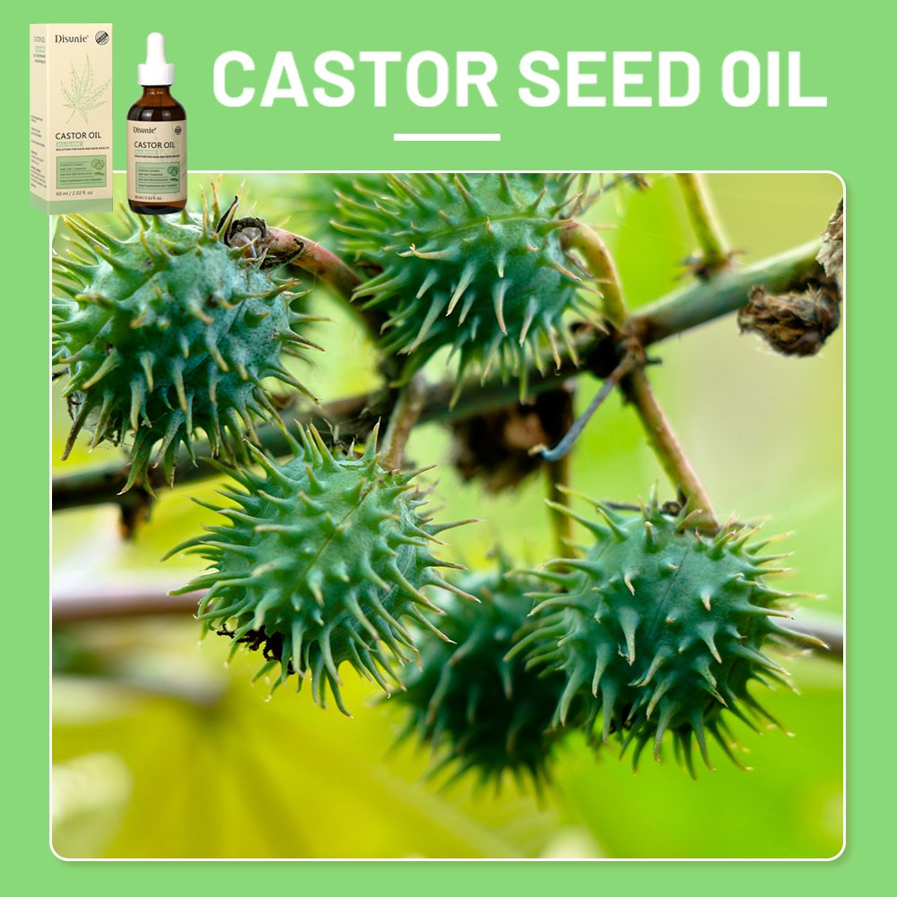 Top Sale Castor Oil Cold Pressed Organic Hair Growth Oil Treatments For Eyelashes Eyebrow Growth 100% Castor Oil For Hair Growth