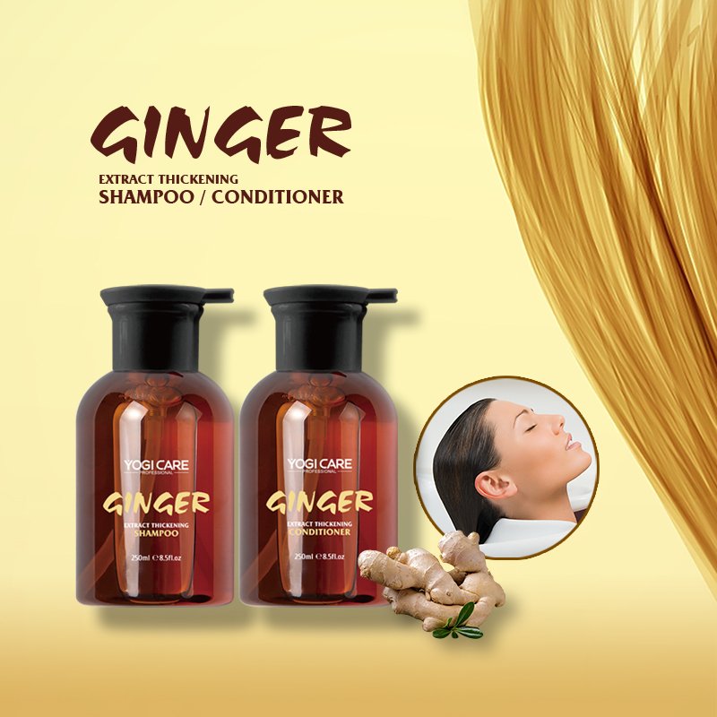 Private Label 250ml*2 Ginger Daily Moisturizing Hair-Loss Prevention Shampoo & Conditioner Set