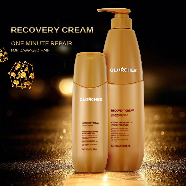 Sulfate Free Organic Shampoo And Conditioner Set 100% Pure Argan Oil Anti Hair Loss Dandruff Hair Care Products