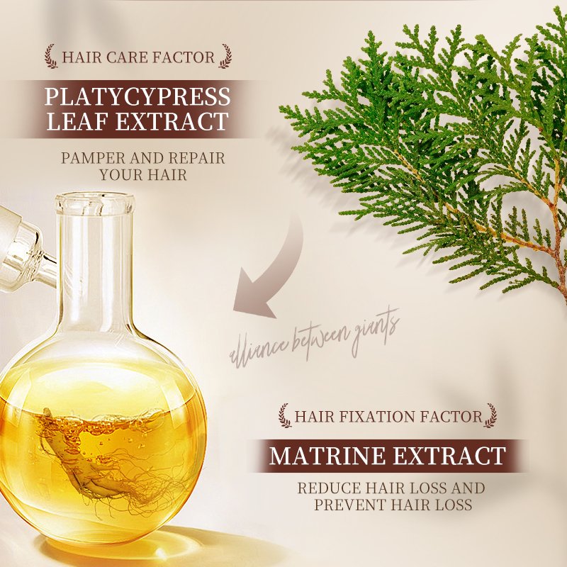 Manufacturer Oem Customized 500ml Moisturizing Ginger Extracts Anti Hair Loss Shampoo For Hair Care Strong