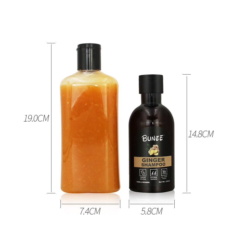 Hair Regrowth Old Ginger Biotin Scalp Care Shampoo