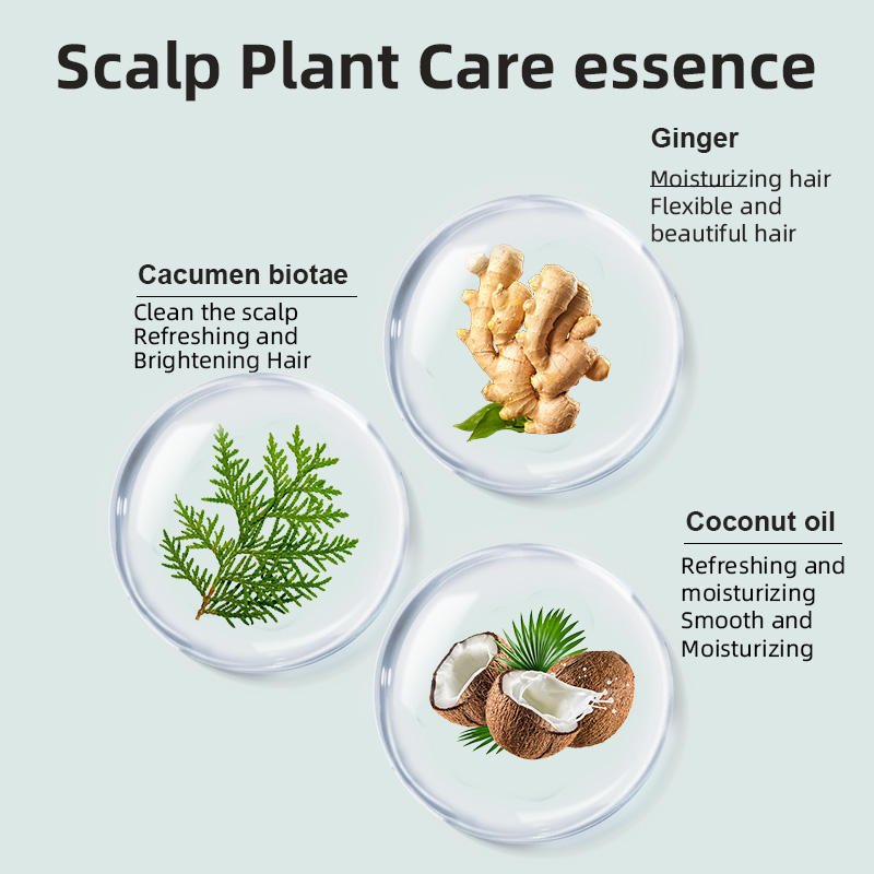 Plant Essences ginger shampoo coconut oil shampoing Anti-hair loss herbaceous aroma Shampoo