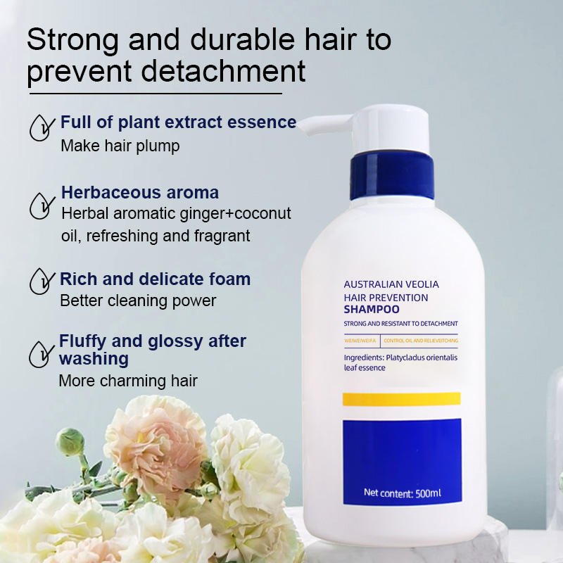 Plant Essences ginger shampoo coconut oil shampoing Anti-hair loss herbaceous aroma Shampoo