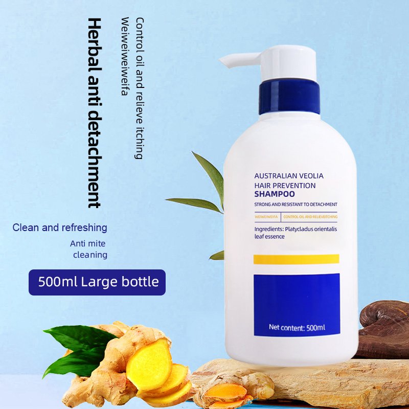 Plant Essences ginger shampoo coconut oil shampoing Anti-hair loss herbaceous aroma Shampoo