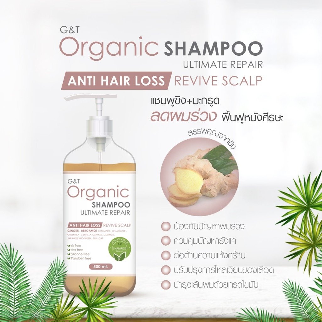 Organic Herbal Hair Shampoo 500ml/Bottle Ginger and Kaffir lime Ultimate Repair Anti Hair Loss Wholesale Thailand