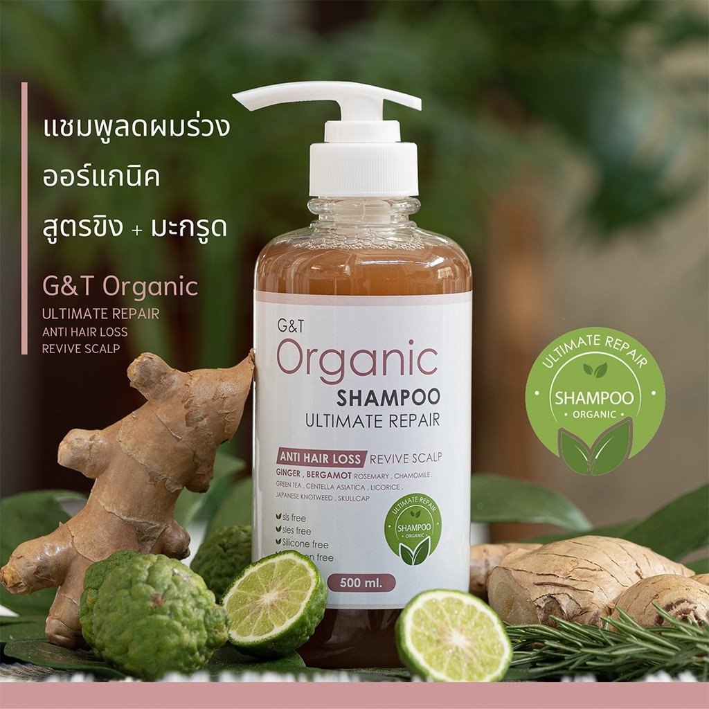 Organic Herbal Hair Shampoo 500ml/Bottle Ginger and Kaffir lime Ultimate Repair Anti Hair Loss Wholesale Thailand