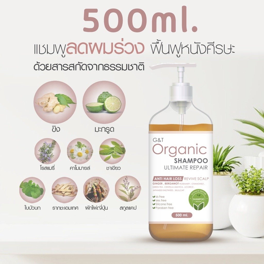 Organic Herbal Hair Shampoo 500ml/Bottle Ginger and Kaffir lime Ultimate Repair Anti Hair Loss Wholesale Thailand