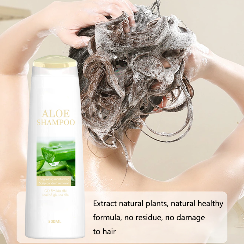OEM Organic Aloe Vera Herbal Shampoo Moisturizing Oil Control Anti-Dandruff 500ml Shampoo for Damaged Dry Itchy Hair Improvement