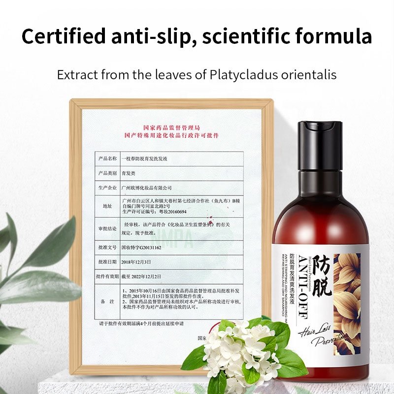 Hot Selling 300ml Ginger Essence Anti Hair Loss Shampoo For Women Hair Care