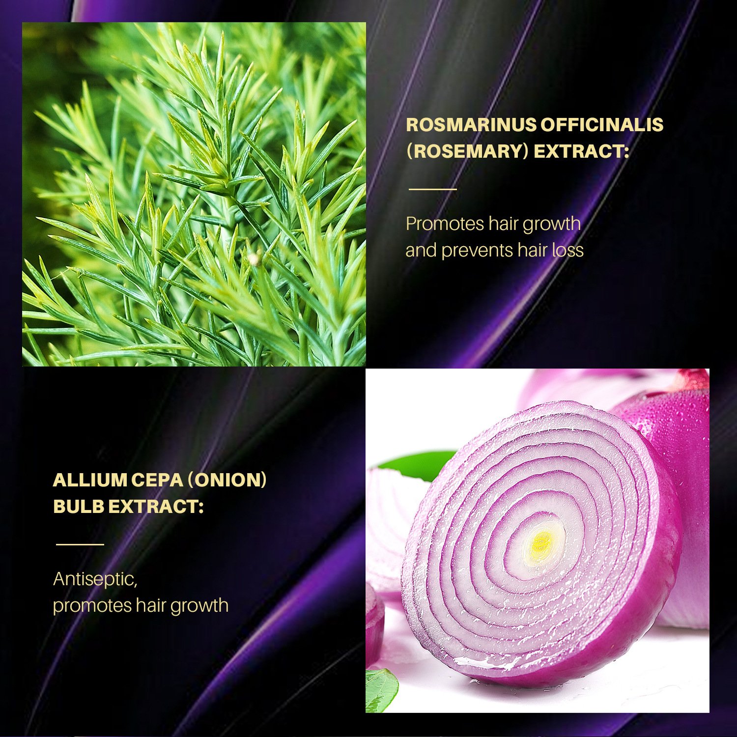 onion shampoo for hair growth rosemary and onion shampoo Private Label Organic Red Onion Anti Hair Loss Strengthens Growth